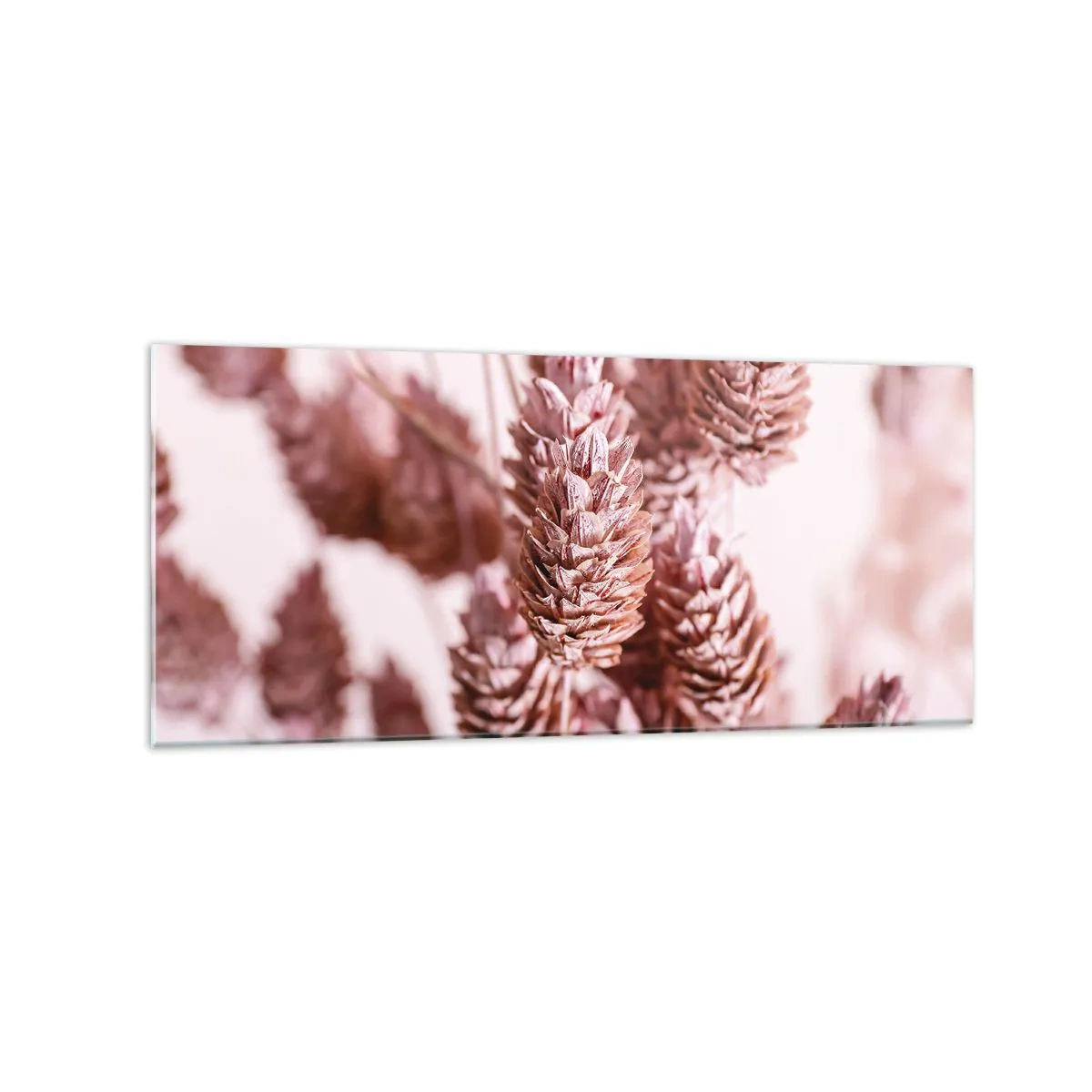 Obraz na szkle - Zbliżenie na delikatne różowe kłosy traw ozdobnych - 120x50cm - Z pozoru niepozorne - Nowoczesna dekoracja ścienna do salonu i sypialni ARTTOR