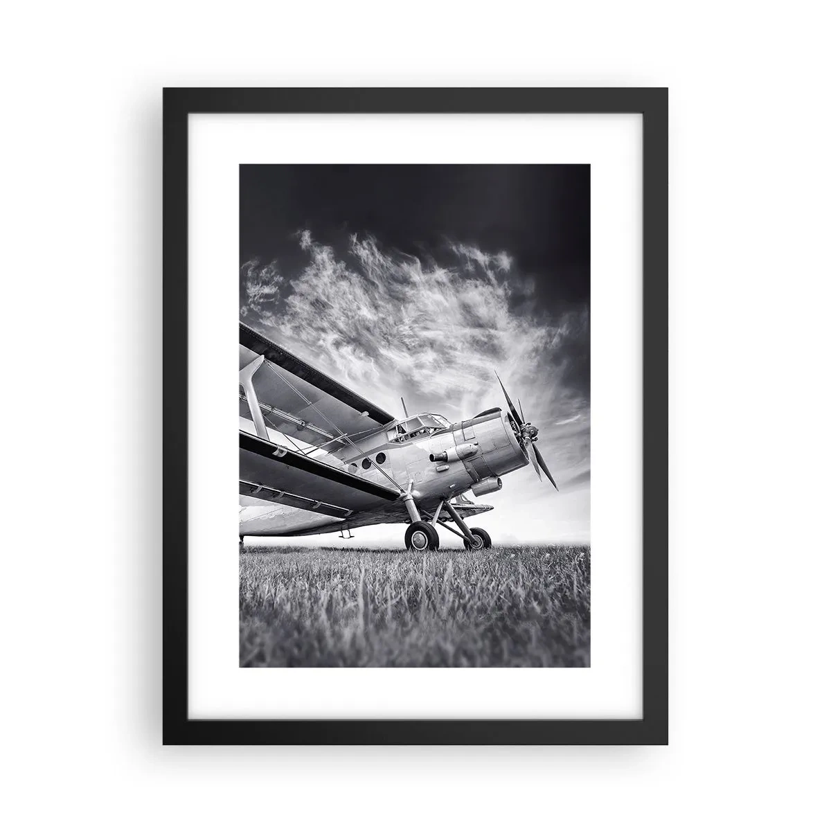 Plakat w czarnej ramie - Skrzydlaty wędrowiec - 30x40 cm