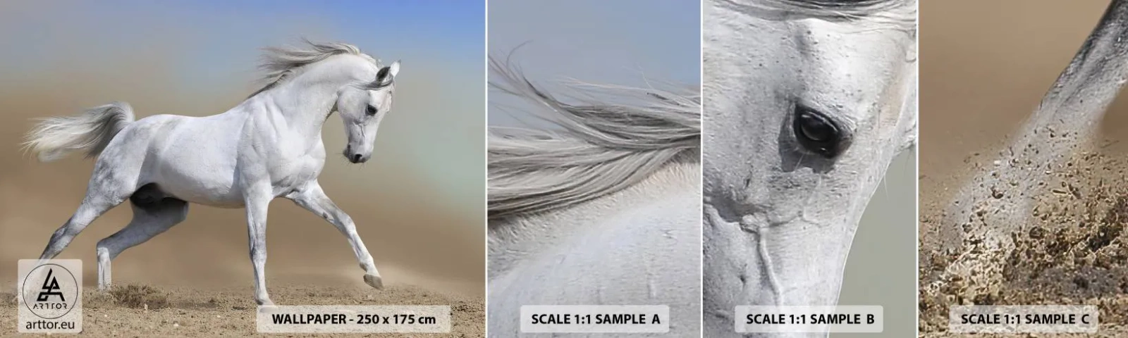 Fototapeta Próbka Standard Eco - Najpiękniejsza arabska baśń - Koń, Zwierzęta, Galop - 100x30 cm
