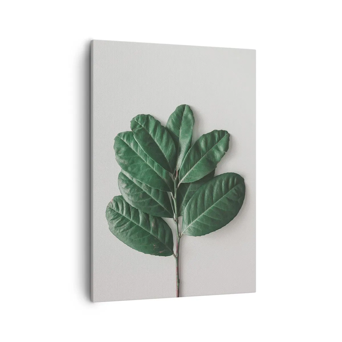 Obraz na płótnie - Gałązka zielonych liści na jasnym tle - 50x70cm - Rysunek samej natury - Nowoczesna dekoracja ścienna do salonu, kuchni i sypialni ARTTOR