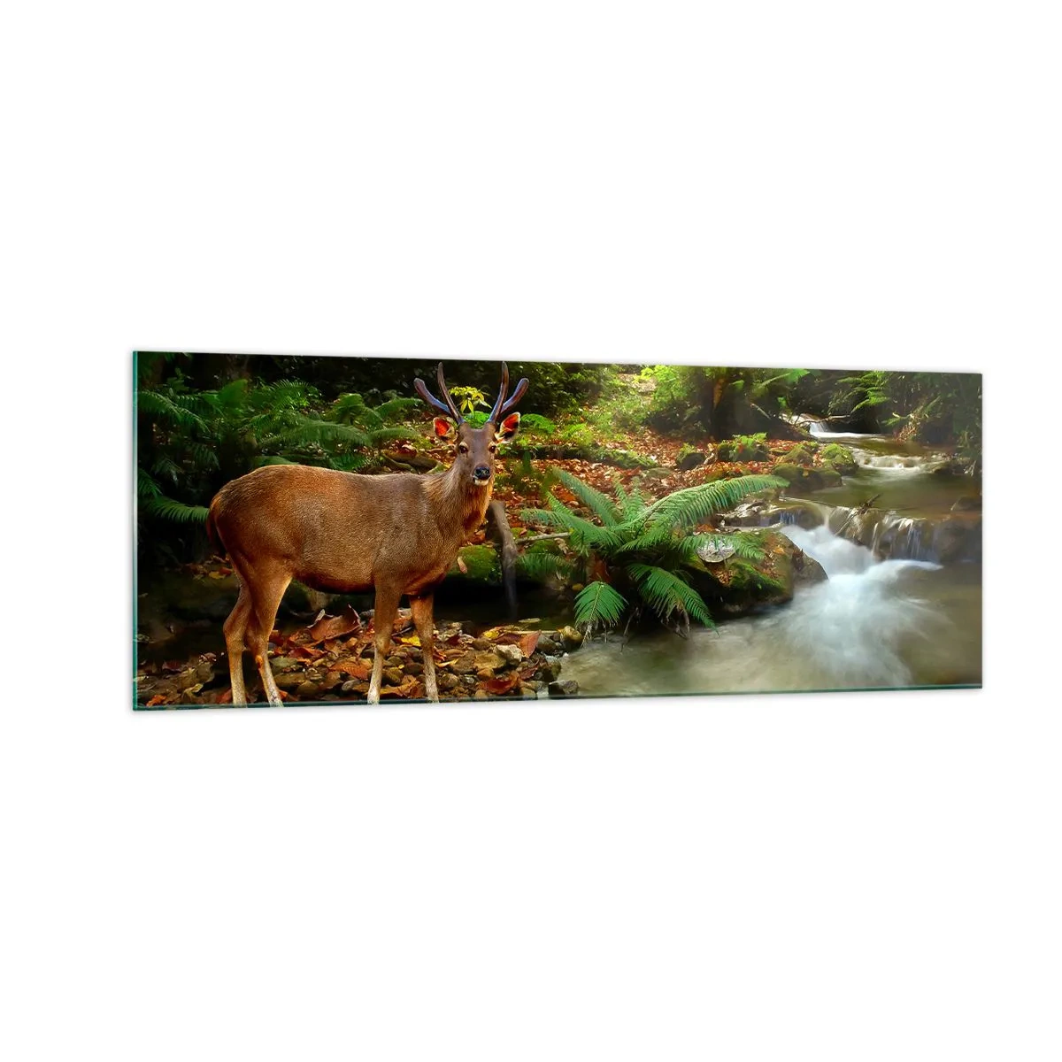 Obraz na szkle - Jeleń przy strumieniu otoczonym zielenią w lesie - 140x50cm - Witam w moim świecie - Nowoczesna dekoracja ścienna do salonu i sypialni ARTTOR