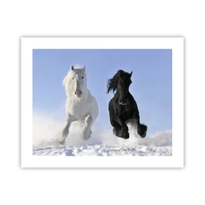 Plakat - Czarno-biały galop - 50x40 cm