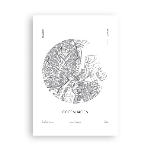 Plakat - Anatomia Kopenhagi - 70x100 cm