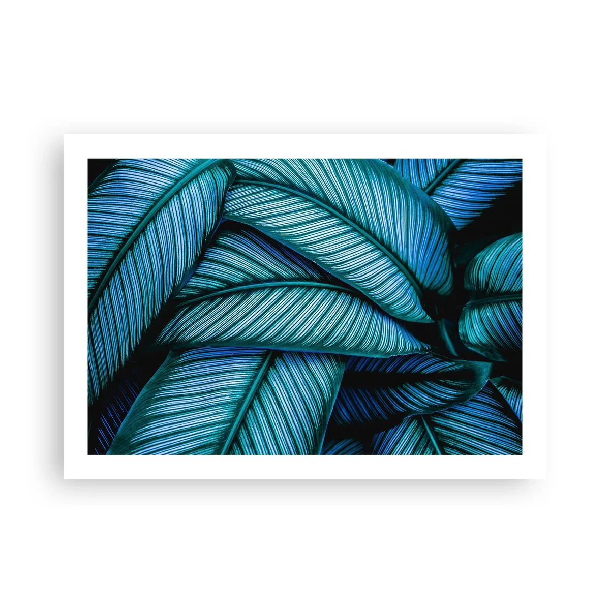 Plakat - Linie życia - 70x50 cm