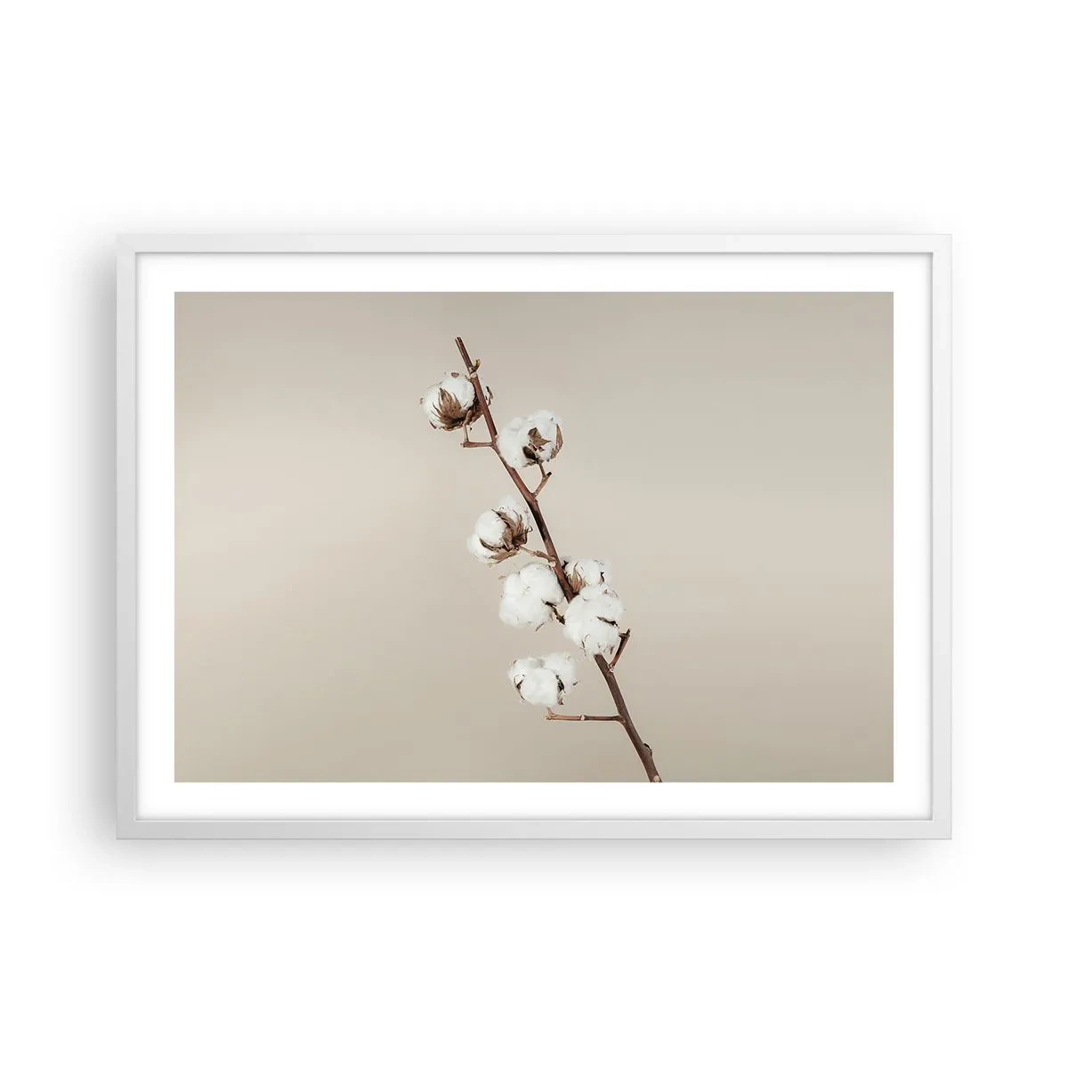 Plakat w białej ramie - U źródła miękkości - 70x50 cm