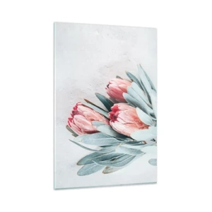 Obraz na szkle - Subtelne różowe kwiaty protei na jasnym tle - 80x120cm - Zawstydzone własną urodą - Nowoczesna dekoracja ścienna do salonu i sypialni ARTTOR