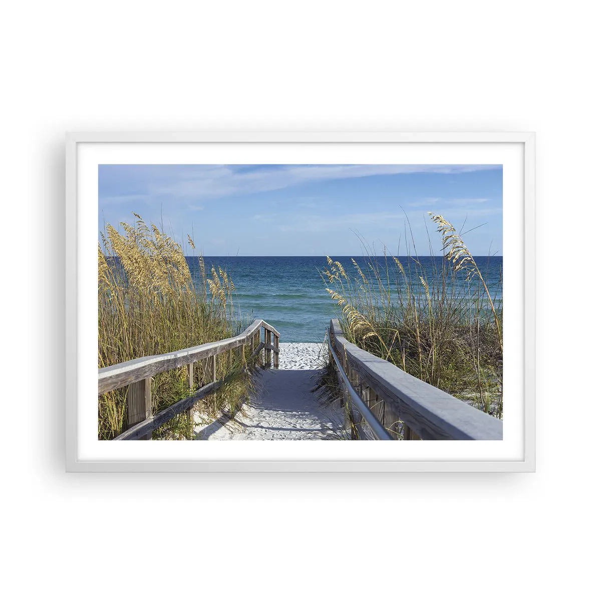 Plakat w białej ramie - W słońcu, na wietrze - 70x50 cm