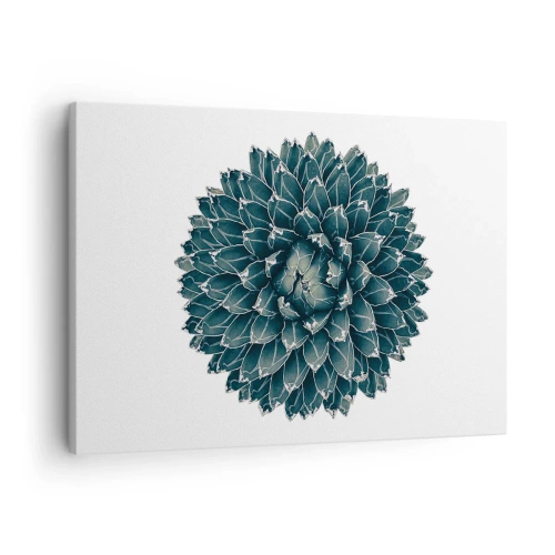 Obraz na płótnie - Symetryczna roślina sukulenta na białym tle - 70x50cm - Gwiazda pustyni - Nowoczesna dekoracja ścienna do salonu i sypialni ARTTOR
