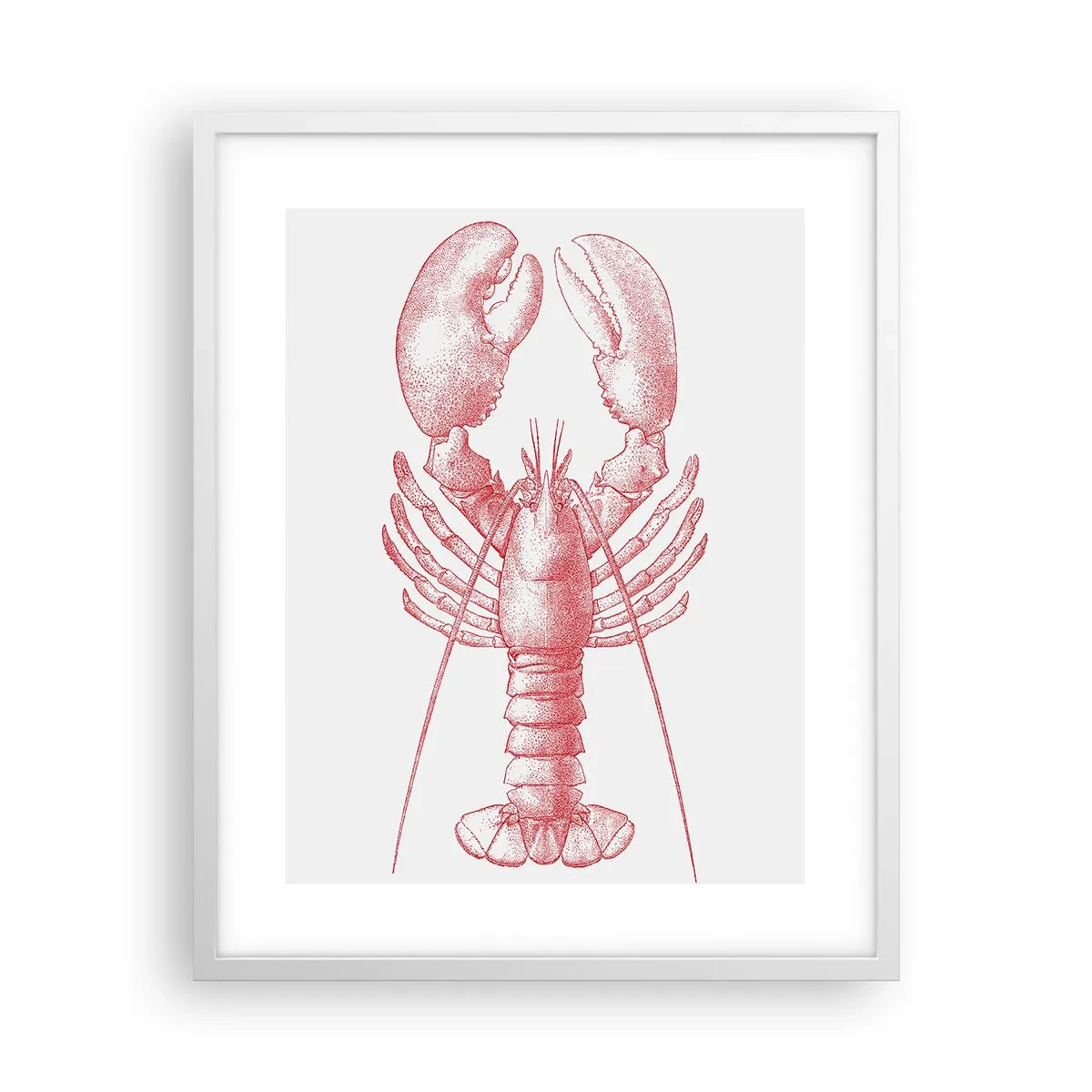 Plakat w białej ramie - Homar godny Homera - 40x50 cm