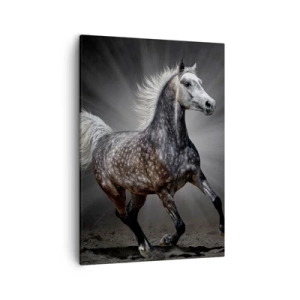 Obraz na płótnie - Dynamiczny koń na tle szarości i promieni światła - 50x70cm - Szare jest piękne - Nowoczesna dekoracja ścienna do salonu, kuchni i sypialni ARTTOR