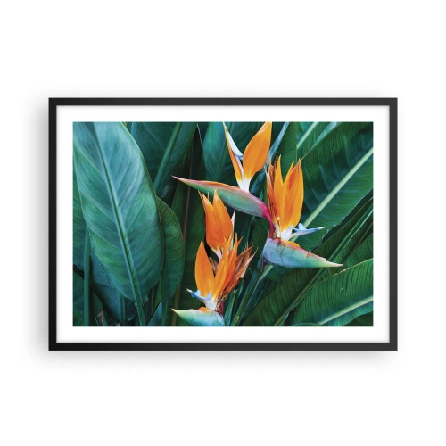 Plakat w czarnej ramie - Egzotyczne kwiaty strelicji otoczone zielonymi liśćmi - 70x50cm - Czy to kwiat, czy to ptak? - Nowoczesna dekoracja ścienna do salonu i sypialni ARTTOR