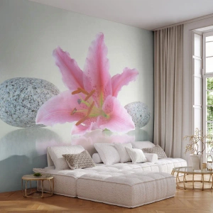 Fototapeta Standard Eco - Studium w różu, szarości i bieli - Kwiaty, Lilia, Kamienie - 300x210 cm