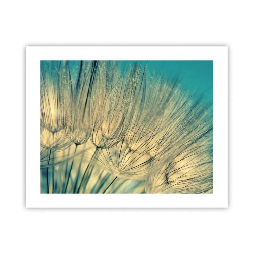 Plakat - W oczekiwaniu na wiatr - 50x40 cm