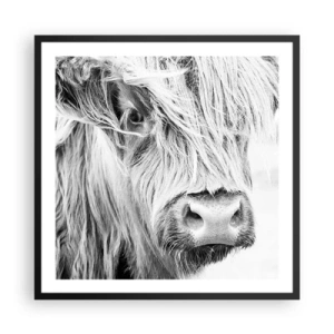 Plakat w czarnej ramie - Szkocka dzikość - 60x60 cm