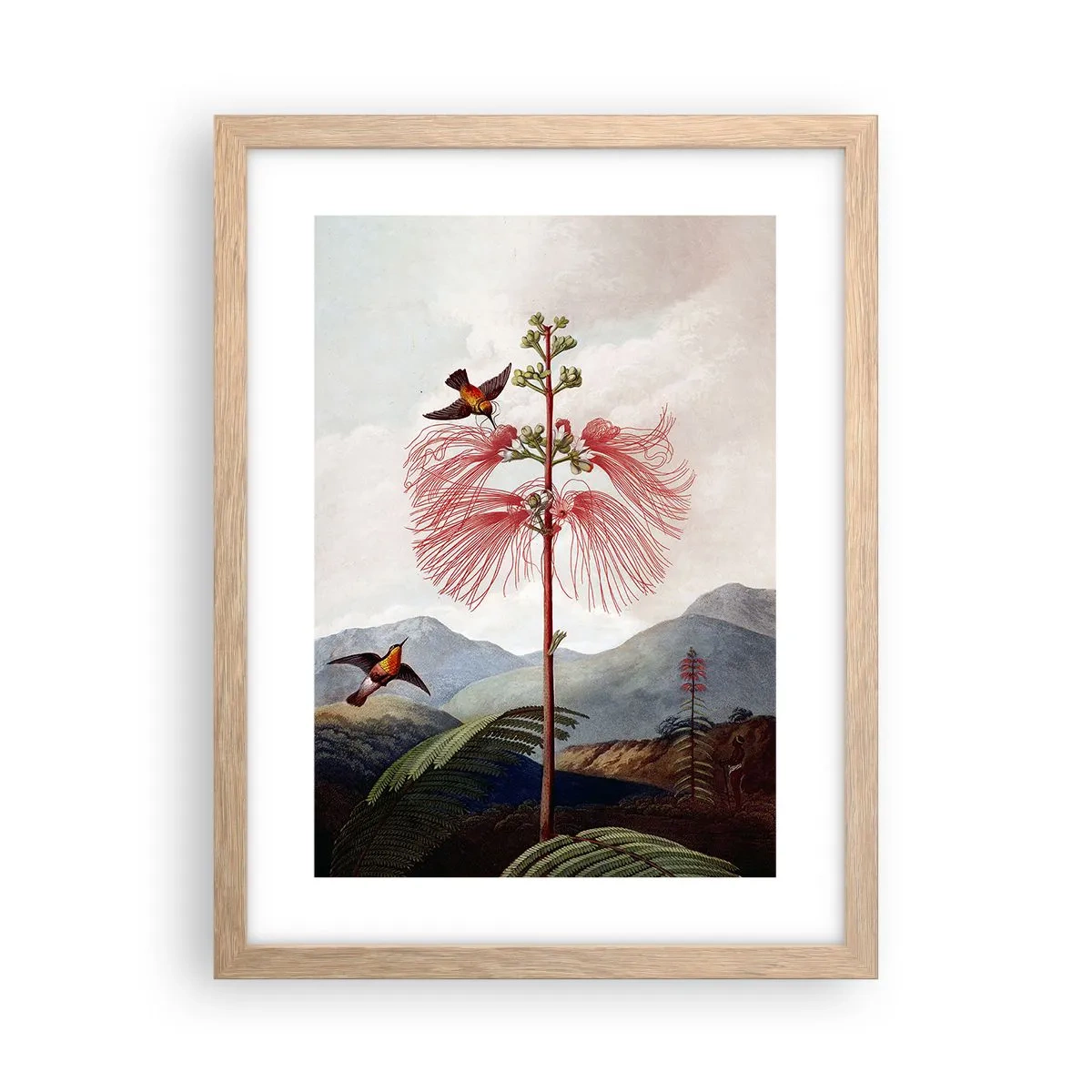 Plakat w ramie jasny dąb - W tropikalnym raju - 30x40 cm