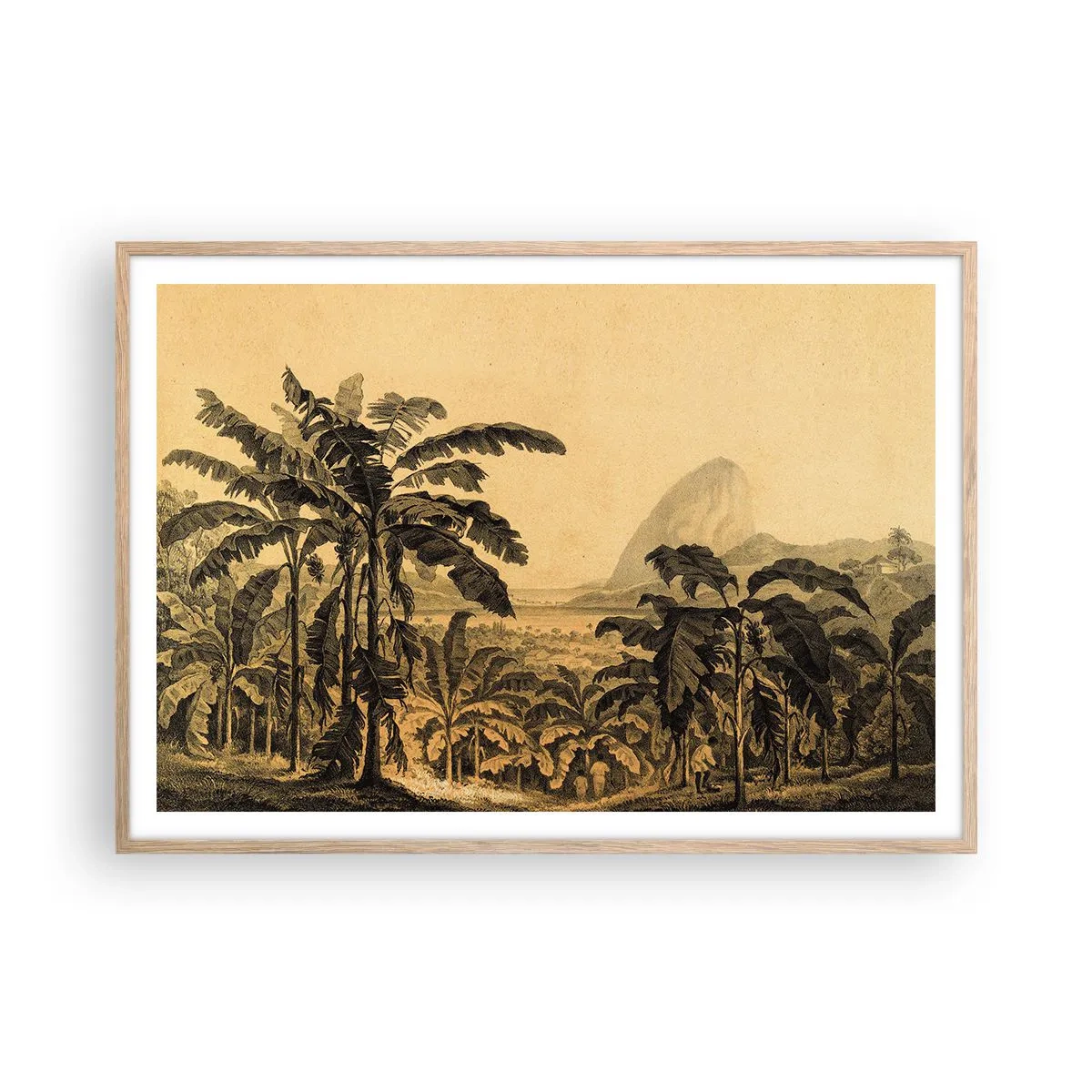 Plakat w ramie jasny dąb - w kolonialnym klimacie - 100x70 cm