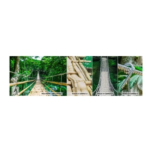 Fototapeta Próbka Premium Sand - Małpi most nad zielenią - Krajobraz, Dżungla, Filipiny - 100x30 cm