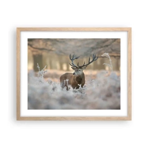 Plakat w ramie jasny dąb - Rześki poranek - 50x40 cm