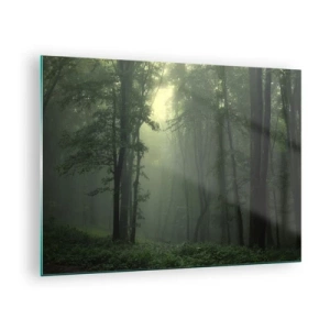 Obraz na szkle - Mroczny las spowity mgłą z promieniami światła - 70x50cm - Zanim się obudzi - Nowoczesna dekoracja ścienna do salonu i sypialni ARTTOR