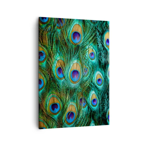 Obraz na płótnie - Zbliżenie na kolorowe pawie pióra z hipnotyzującym wzorem - 50x70cm - Pawiookie spojrzenie - Nowoczesna dekoracja ścienna do salonu, kuchni i sypialni ARTTOR