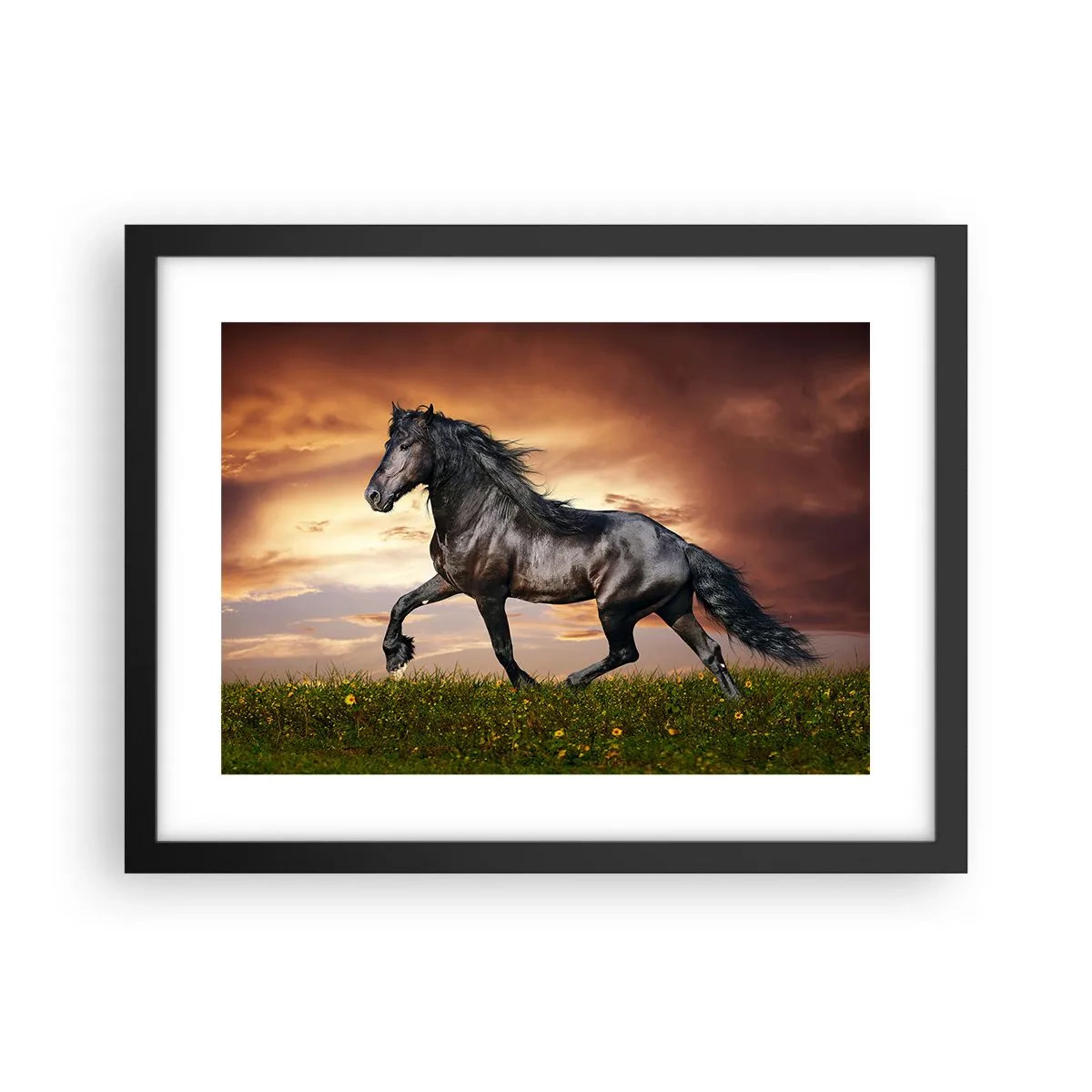 Plakat w czarnej ramie - Czarny książę - 40x30 cm