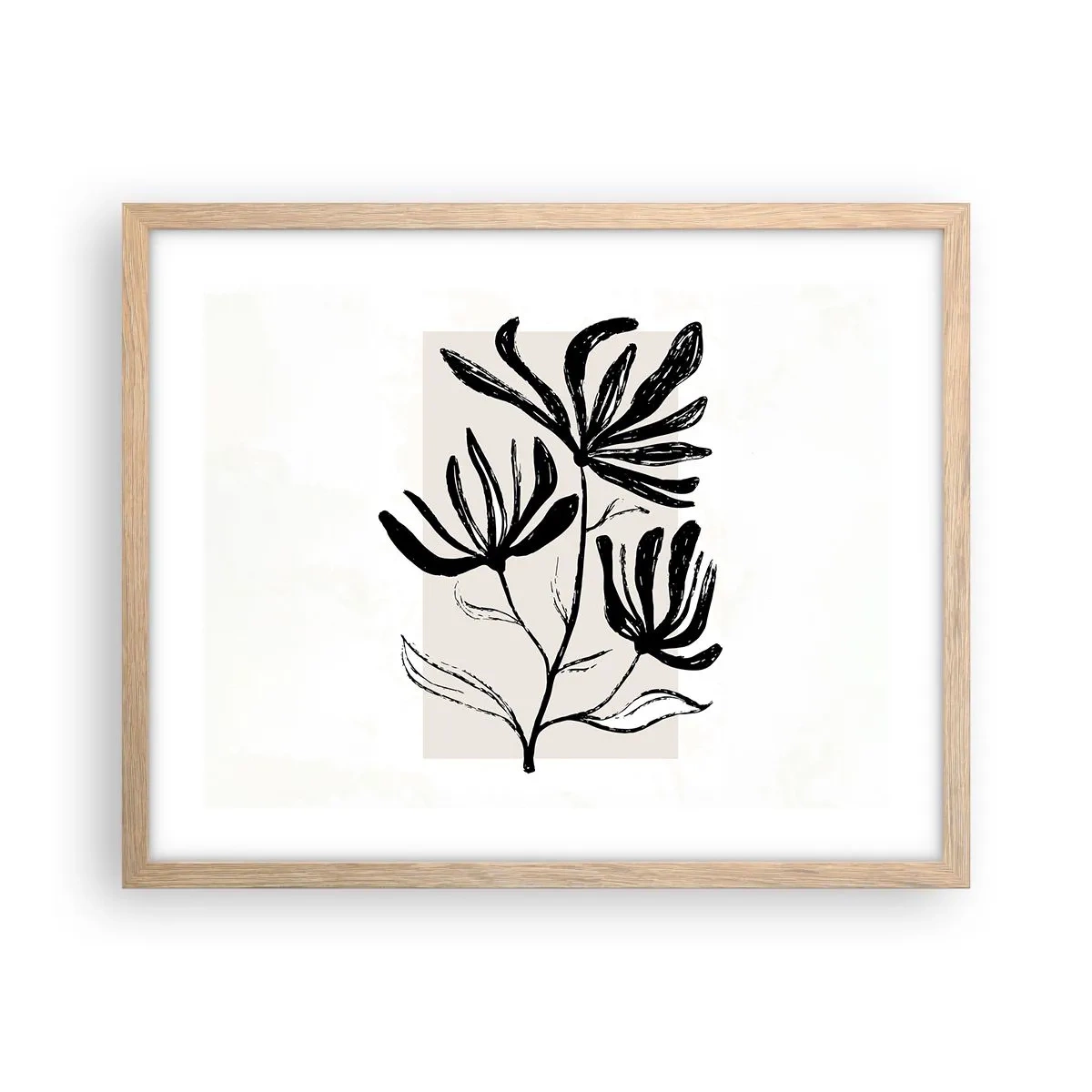 Plakat w ramie jasny dąb - Szkic do zielnika - 50x40 cm