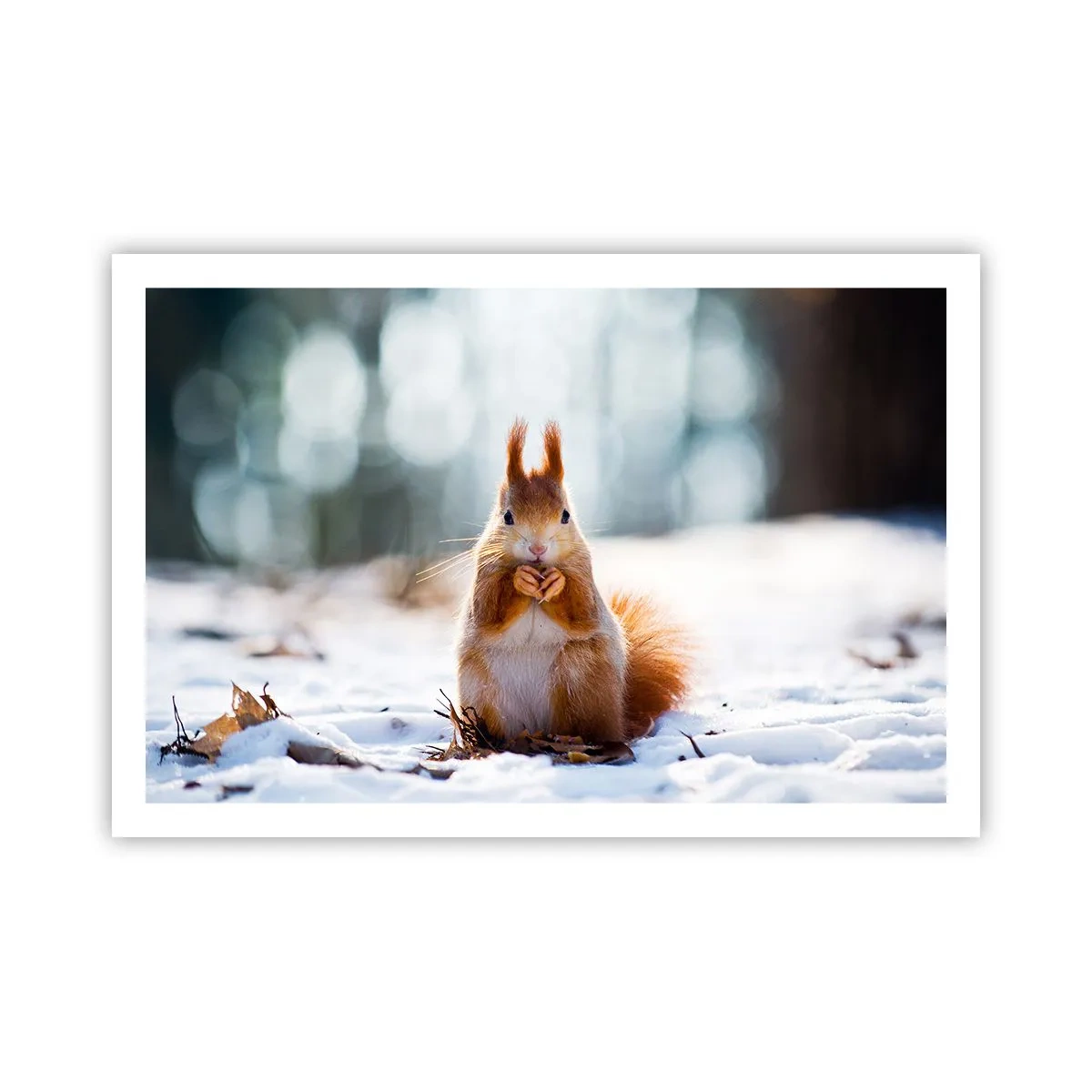 Plakat - I co tak patrzysz? - 91x61 cm