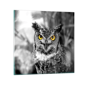 Obraz na szkle - Nic się nie ukryje - 40x40 cm