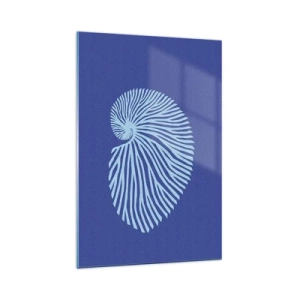 Obraz na szkle - Minimalistyczna grafika muszli spiralnej w odcieniach błękitu na ciemnym tle - 70x100cm - Narodziny muszli - Nowoczesna dekoracja ścienna do salonu i sypialni ARTTOR
