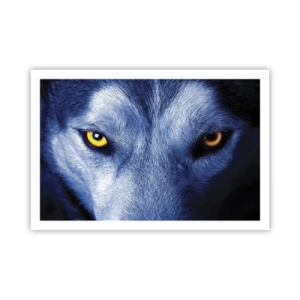 Plakat - Hipnotyzujące spojrzenie - 91x61 cm