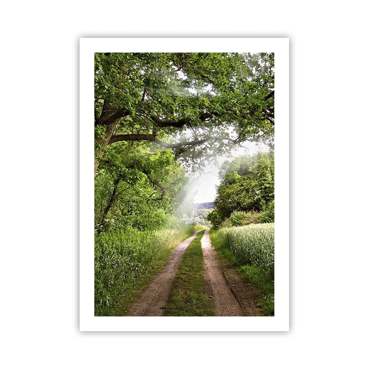 Plakat - Zacieniona polna droga w otoczeniu bujnej zieleni drzew i łąk - 50x70cm - Et in Arcadia ego - Nowoczesna dekoracja ścienna do salonu, kuchni i sypialni ARTTOR