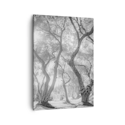 Obraz na płótnie - Czarno-białe, zakrzywione pnie drzew oliwnych w świetle mgły - 50x70cm - W oliwnym gaju - Nowoczesna dekoracja ścienna do salonu, kuchni i sypialni ARTTOR