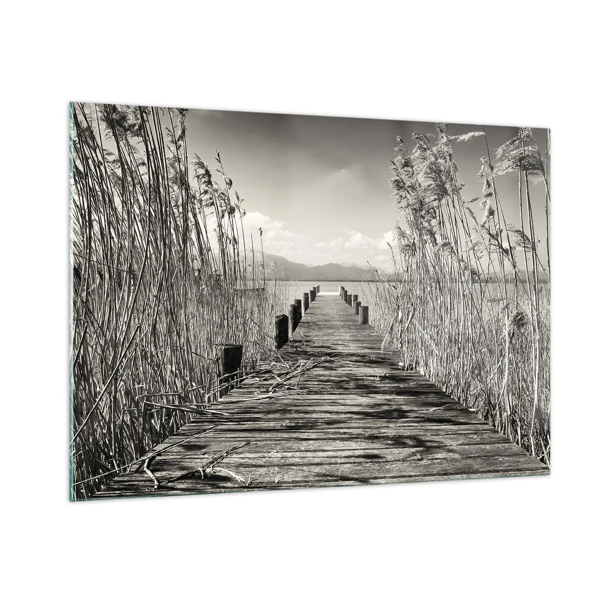 Obraz na szkle - Drewniany pomost prowadzący przez trawy nad spokojnym jeziorem - 100x70cm - W zaciszu traw - Nowoczesna dekoracja ścienna do salonu, kuchni i sypialni ARTTOR