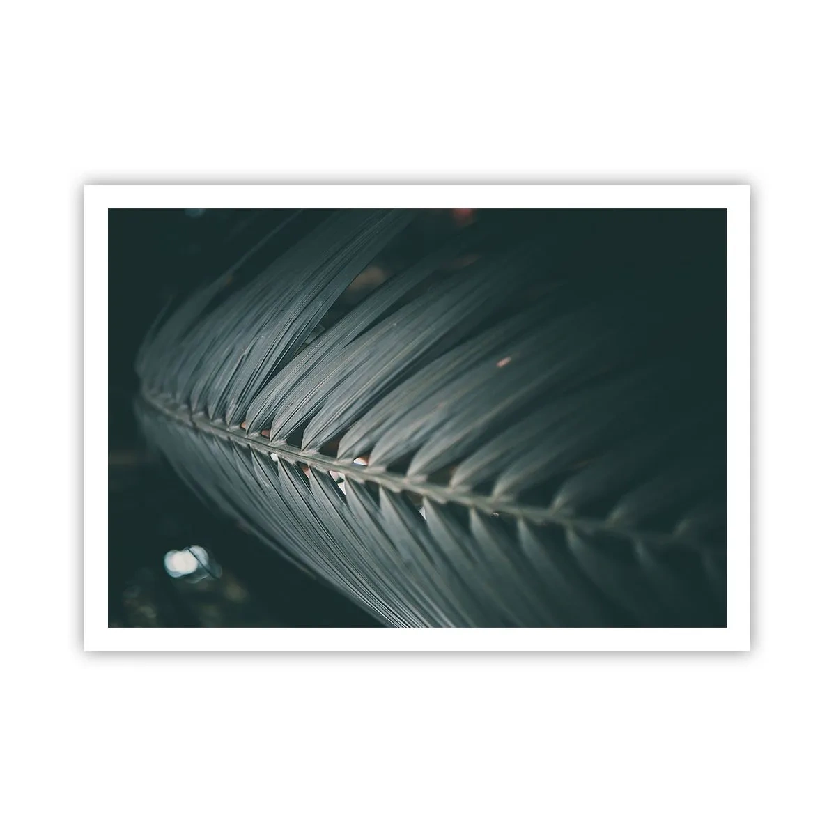 Plakat - Zbliżenie na detal liścia palmowego w ciemnej tonacji - 100x70cm - Precyzja natury - Nowoczesna dekoracja ścienna do salonu i sypialni ARTTOR