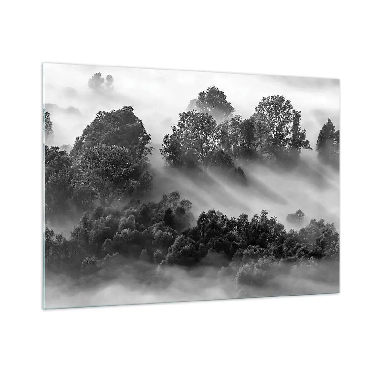 Obraz na szkle - Mglisty las w promieniach słońca w czerni i bieli - 100x70cm - Wstający ze snu - Nowoczesna dekoracja ścienna do salonu, kuchni i sypialni ARTTOR