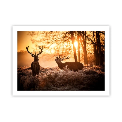 Plakat - Marzenie myśliwego - 70x50 cm