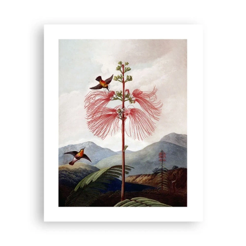 Plakat - W tropikalnym raju - 40x50 cm