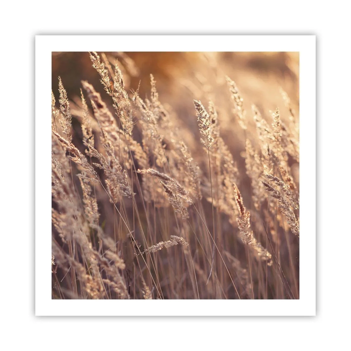 Plakat - Gotowe na powitanie jesieni - 60x60 cm