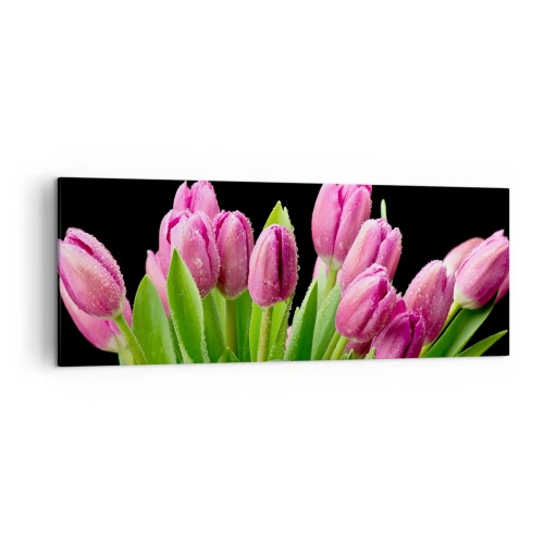 Obraz na płótnie - Różowe tulipany z kroplami rosy na czarnym tle - 140x50cm - Liliowa radość wiosny - Nowoczesna dekoracja ścienna do salonu i sypialni ARTTOR