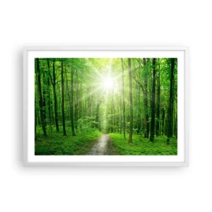 Plakat w białej ramie - Zielona katedra - 70x50 cm