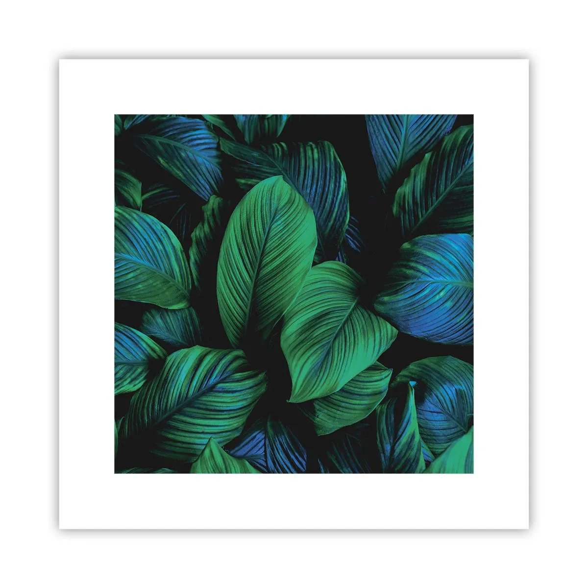 Plakat - W zielonym tłumie - 30x30 cm