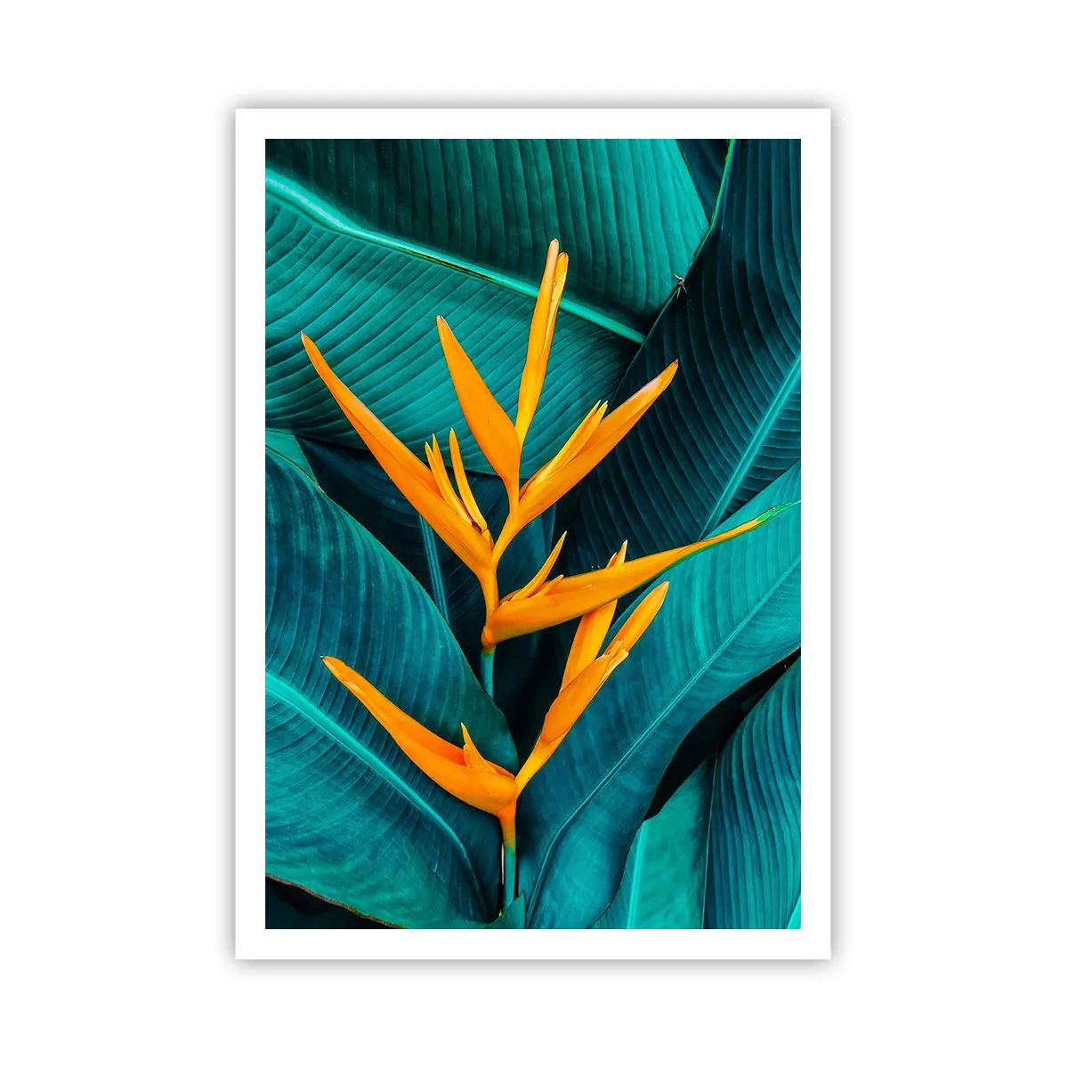 Plakat - Kwiat Edenu - 70x100 cm