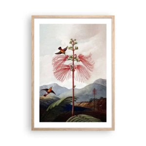 Plakat w ramie jasny dąb - W tropikalnym raju - 50x70 cm