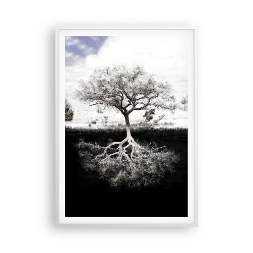 Plakat w białej ramie - Odkrycie natury świata - 70x100 cm