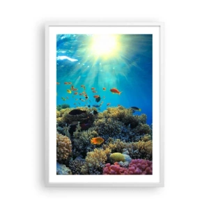 Plakat w białej ramie - Podwodne skarby - 50x70 cm