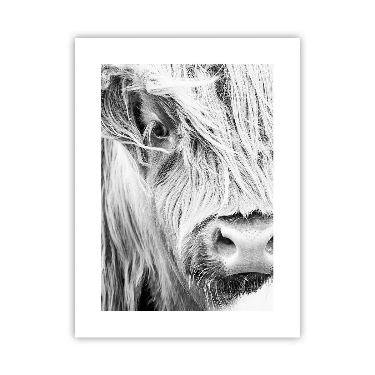 Plakat - Szkocka dzikość - 30x40 cm