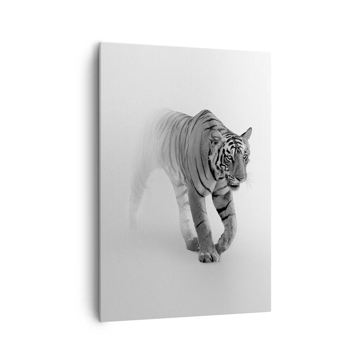 Obraz na płótnie - Tygrys wyłaniający się z mgły - 70x100cm - Przyczajony we mgle - Nowoczesna dekoracja ścienna do salonu i sypialni ARTTOR
