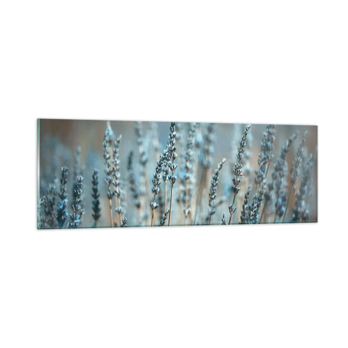 Obraz na szkle - Pachnący łan - 90x30 cm