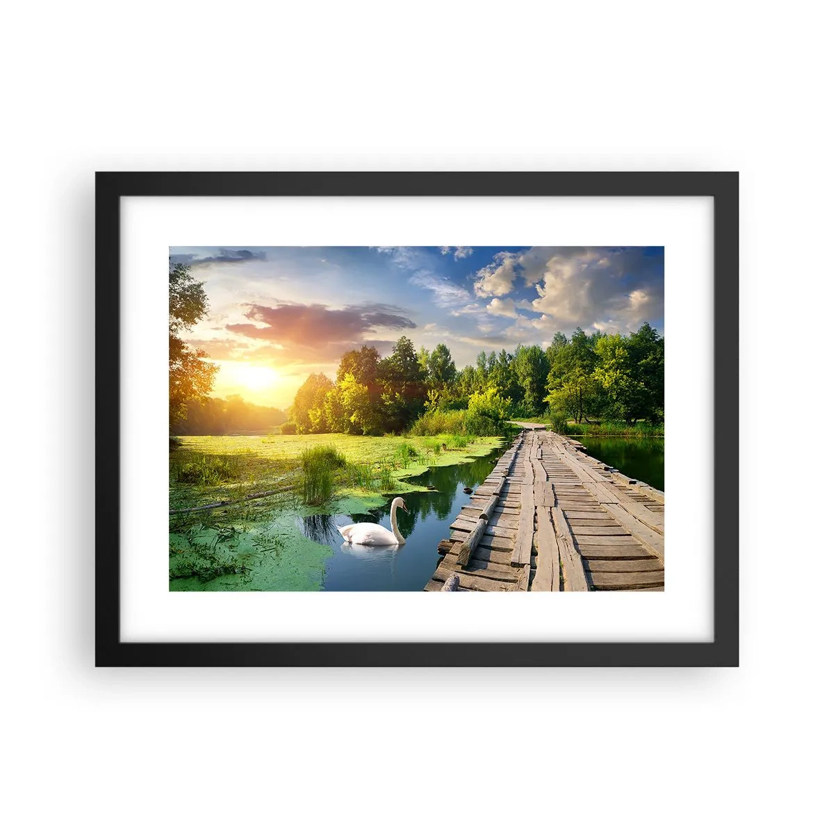Plakat w czarnej ramie - Lato, lato wszędzie - 40x30 cm
