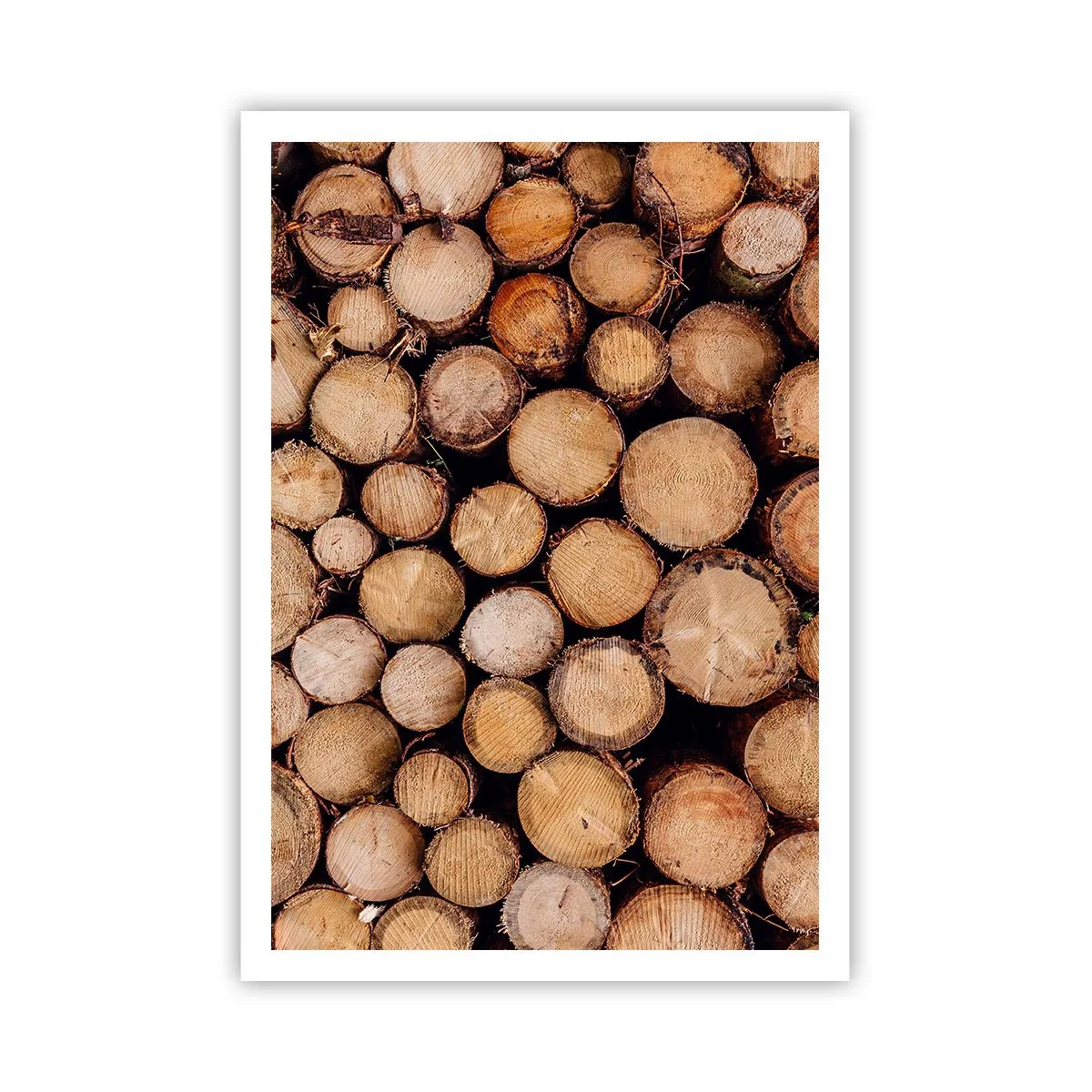 Plakat - Nowy początek - 70x100 cm